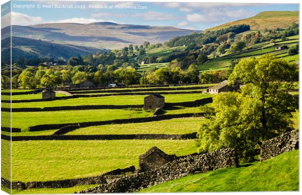 Swaledale Yorkshire Dales English Countryside Canvas Print by Pearl Bucknall