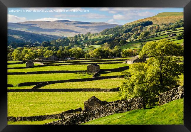 Swaledale Yorkshire Dales English Countryside Framed Print by Pearl Bucknall