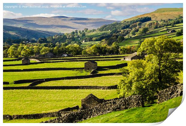 Swaledale Yorkshire Dales English Countryside Print by Pearl Bucknall