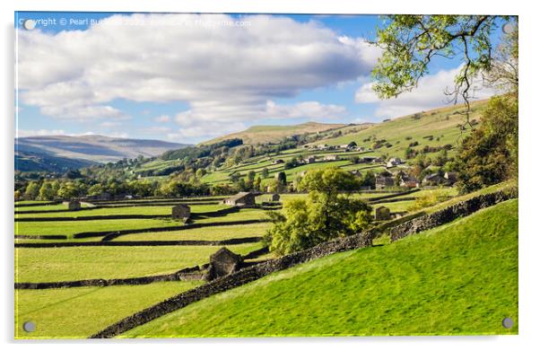 English Landscape Swaledale Yorkshire Dales Acrylic by Pearl Bucknall