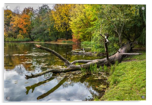 Fallen Tree By The Lake Acrylic by Artur Bogacki