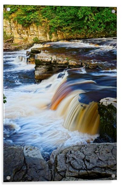 River Swale Falls at Richmond North Yorkshire Acrylic by Martyn Arnold