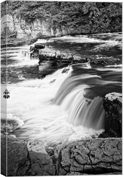 Richmond North Yorkshire Waterfalls Monochrome Canvas Print by Martyn Arnold