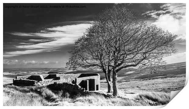 Walking from Haworth to Top Withens and Wuthering Heights Print by Peter Stuart