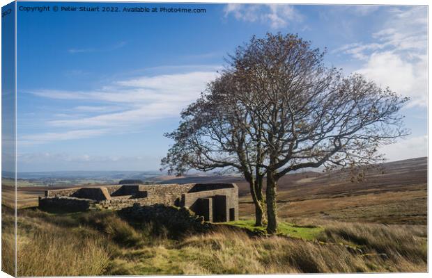 Walking from Haworth to Top Withens and Wuthering Heights Canvas Print by Peter Stuart