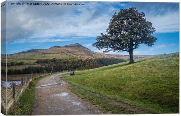 Walking around Dovestone reservoir near Greenfield in the North  Canvas Print by Peter Stuart