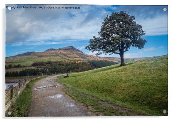 Walking around Dovestone reservoir near Greenfield in the North  Acrylic by Peter Stuart