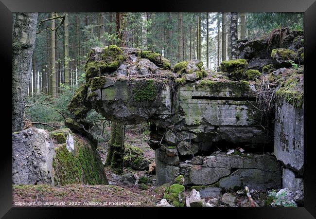 Remains of a bunker in the Hurtgen Forest in Germany Framed Print by Lensw0rld 