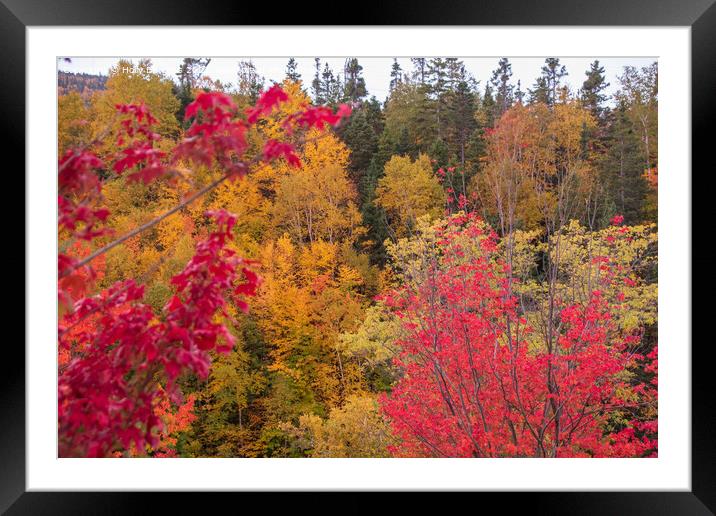 Quebec's Vibrant Corner Brook Falls Framed Mounted Print by Holly Burgess