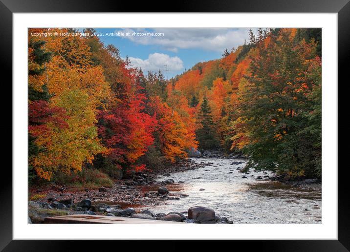 Enchanting Humber River Odyssey, Newfoundland Framed Mounted Print by Holly Burgess