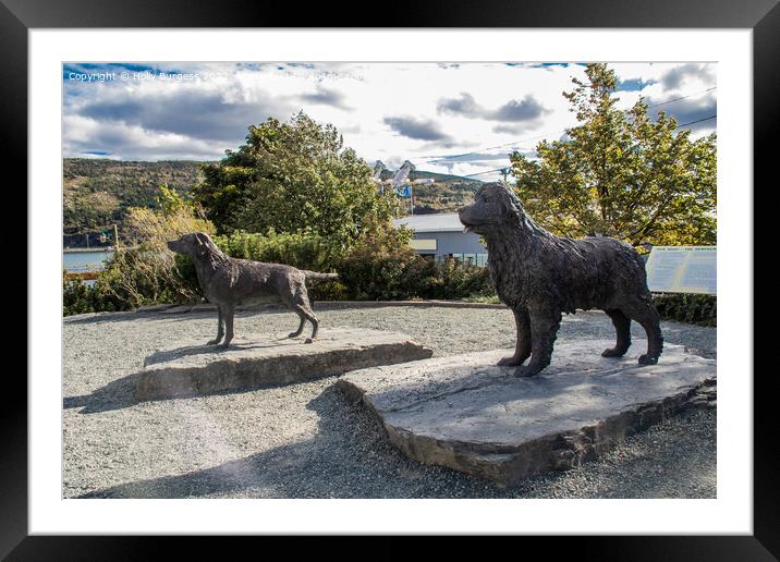 Newfoundland's Legacy: The Birthplace of Labrador  Framed Mounted Print by Holly Burgess