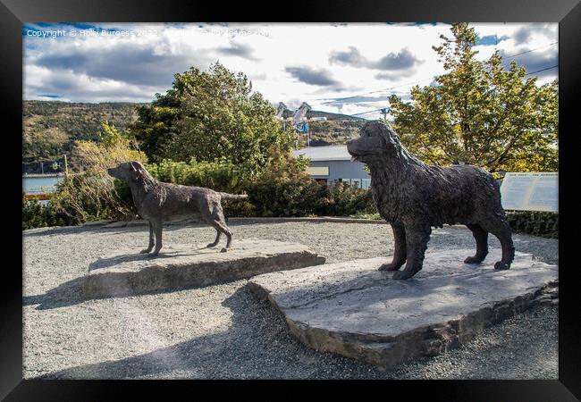 Newfoundland's Legacy: The Birthplace of Labrador  Framed Print by Holly Burgess