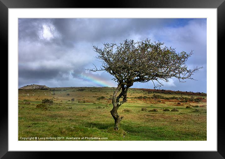 Rainbow over the Cheesewring Framed Mounted Print by Lucy Antony