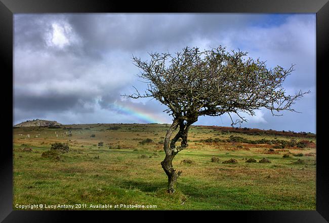Rainbow over the Cheesewring Framed Print by Lucy Antony