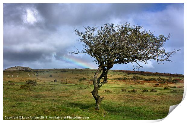 Rainbow over the Cheesewring Print by Lucy Antony