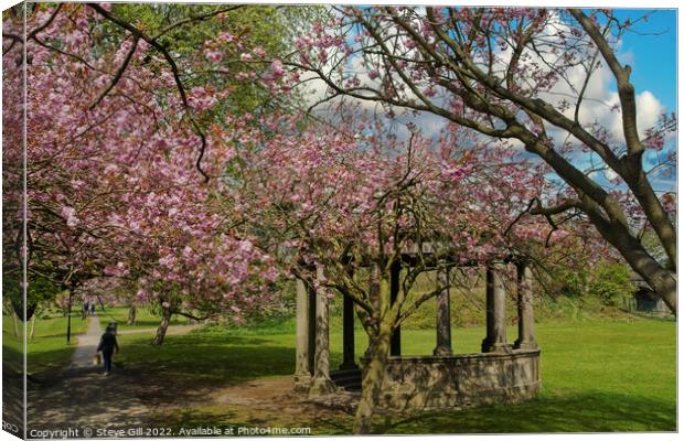 Tewit Well Monument Next to Spring Cherry Blossom. Canvas Print by Steve Gill