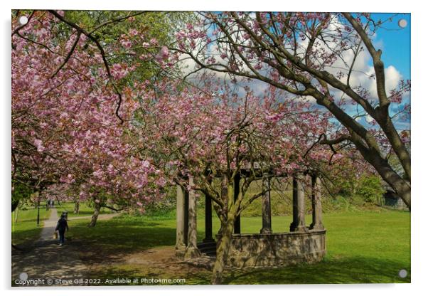 Tewit Well Monument Next to Spring Cherry Blossom. Acrylic by Steve Gill