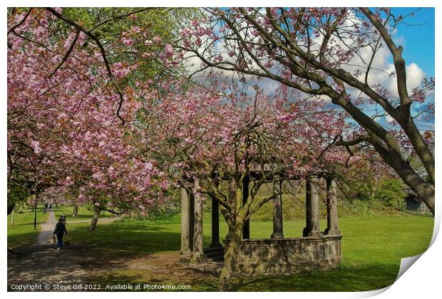 Tewit Well Monument Next to Spring Cherry Blossom. Print by Steve Gill