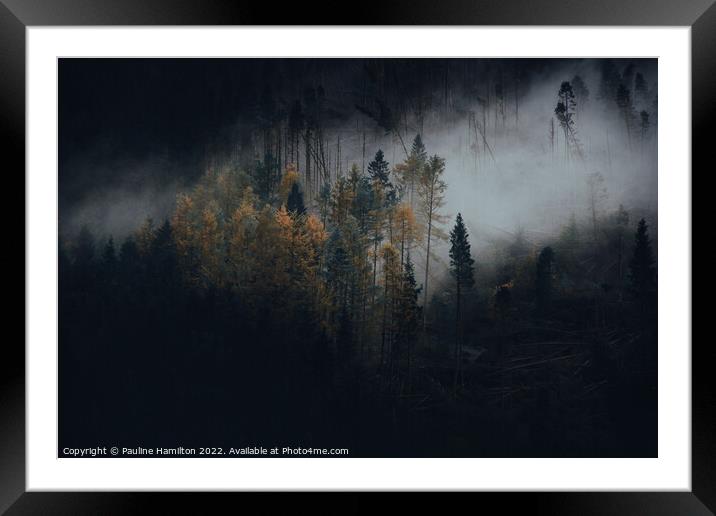 Dark Trees in the Trossachs, Scotland Framed Mounted Print by Pauline Hamilton