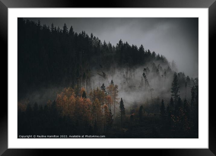Trees in The Trossachs at night fall Framed Mounted Print by Pauline Hamilton