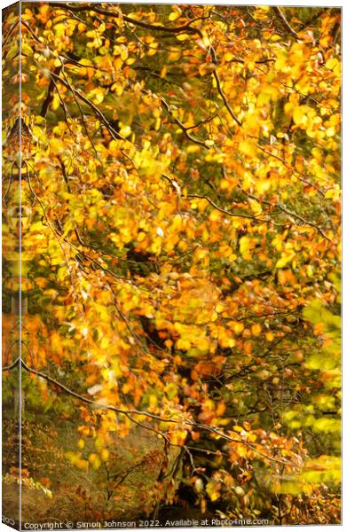 Autumn breeze Canvas Print by Simon Johnson