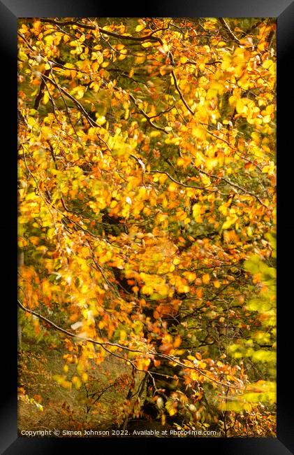 Autumn breeze Framed Print by Simon Johnson
