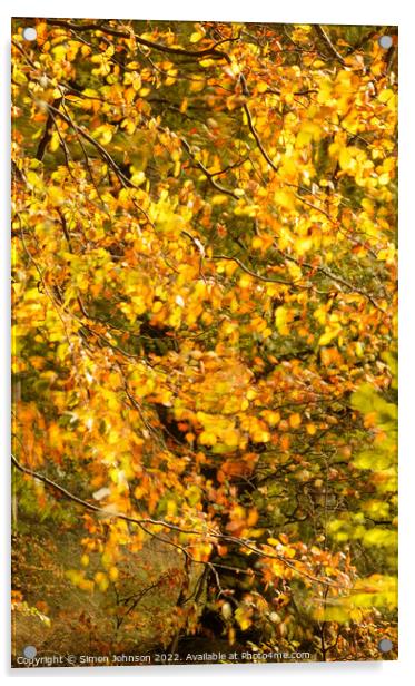 Autumn breeze Acrylic by Simon Johnson