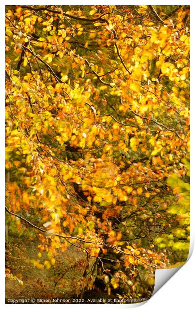 Autumn breeze Print by Simon Johnson