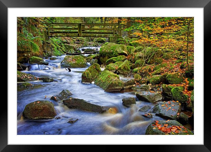 Padley Gorge Framed Mounted Print by Darren Galpin