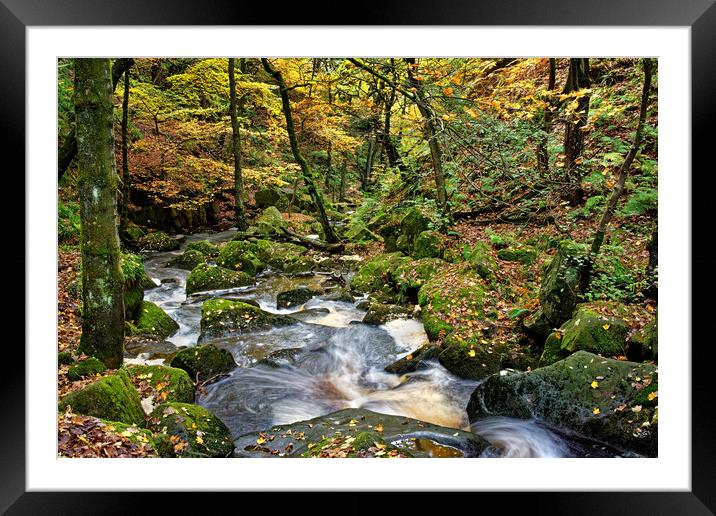 Padley Gorge in Autumn Framed Mounted Print by Darren Galpin