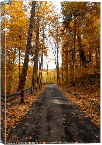 Road in South Bohemian forest in Czechia in autumn season. Canvas Print by Sergey Fedoskin