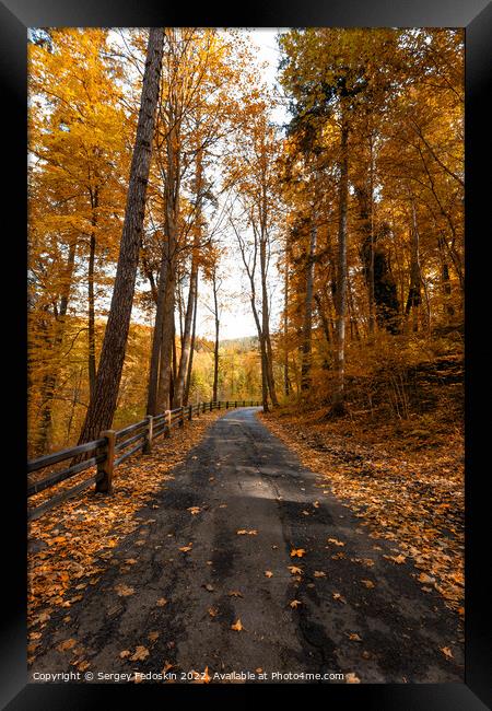 Road in South Bohemian forest in Czechia in autumn season. Framed Print by Sergey Fedoskin