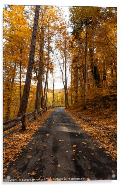 Road in South Bohemian forest in Czechia in autumn season. Acrylic by Sergey Fedoskin