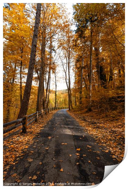 Road in South Bohemian forest in Czechia in autumn season. Print by Sergey Fedoskin