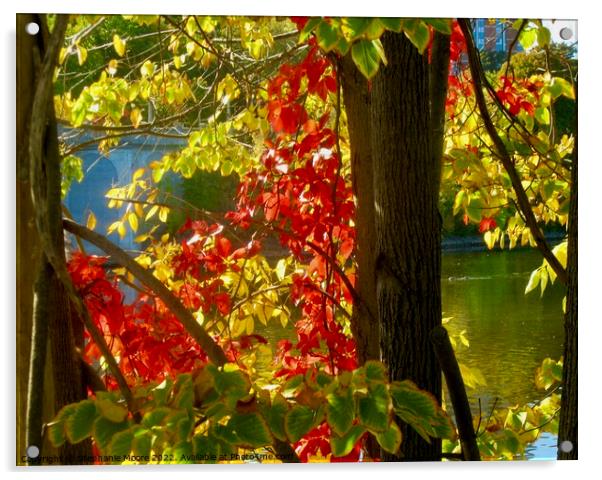 Sunlit autumn leaves Acrylic by Stephanie Moore
