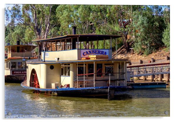 Paddle steamer, Canberra, Murray River, Echuca, Victoria, Austra Acrylic by Kevin Hellon