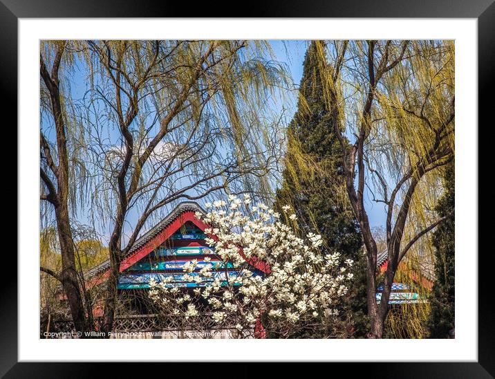 Magnolias Willows Summer Palace Beijing China Framed Mounted Print by William Perry