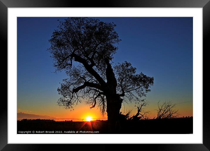 Kansas Sunset with a tree silhouette Framed Mounted Print by Robert Brozek
