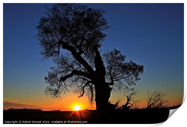 Kansas Sunset with a tree silhouette Print by Robert Brozek