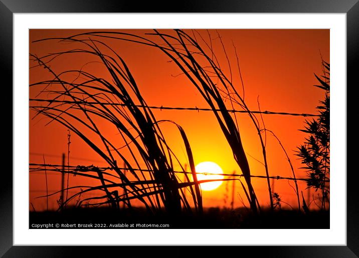 Kansas Sunset with a fence and grass silhouettes  Framed Mounted Print by Robert Brozek