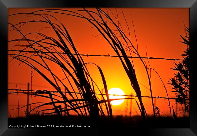 Kansas Sunset with a fence and grass silhouettes  Framed Print by Robert Brozek