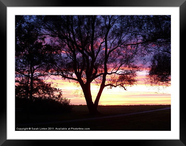Sunset in Lomma Framed Mounted Print by Sarah Osterman