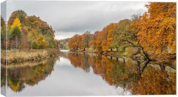 Autumn colours reflect in the River Wharfe Canvas Print by Jason Wells