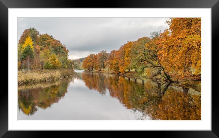 Autumn colours reflect in the River Wharfe Framed Mounted Print by Jason Wells