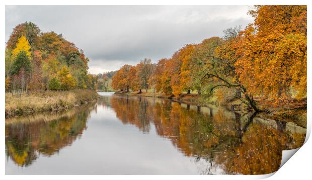 Autumn colours reflect in the River Wharfe Print by Jason Wells
