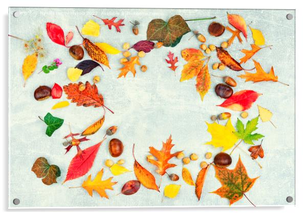 Herbarium, collection of colorful autumnal leaves Acrylic by Mykola Lunov Mykola