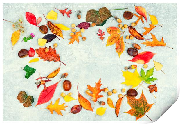 Herbarium, collection of colorful autumnal leaves Print by Mykola Lunov Mykola