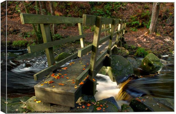 Padley Gorge Wooden Bridge Canvas Print by Alison Chambers
