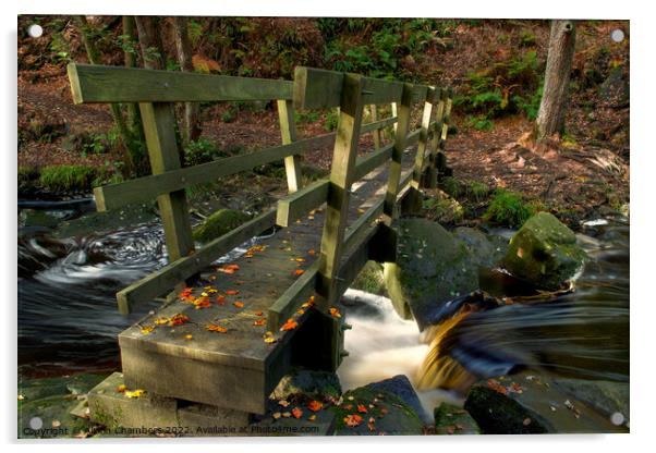 Padley Gorge Wooden Bridge Acrylic by Alison Chambers