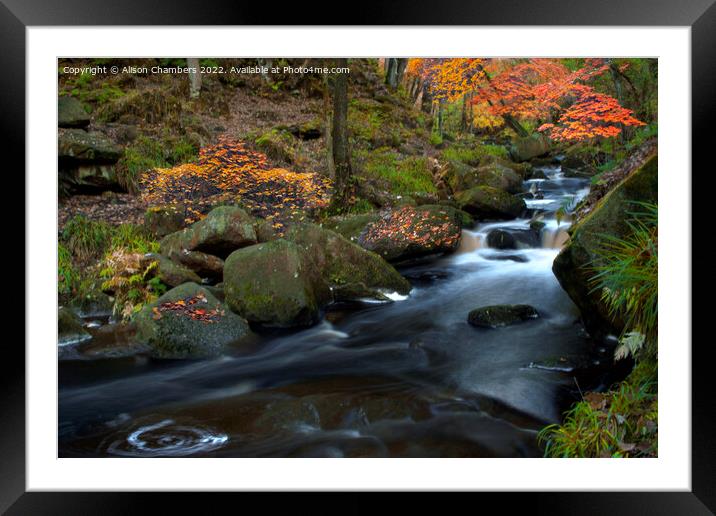 Swirling Waters at Padley Gorge Framed Mounted Print by Alison Chambers